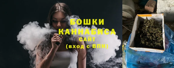 дживик Козловка