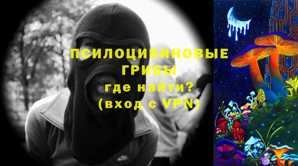тгк Козельск